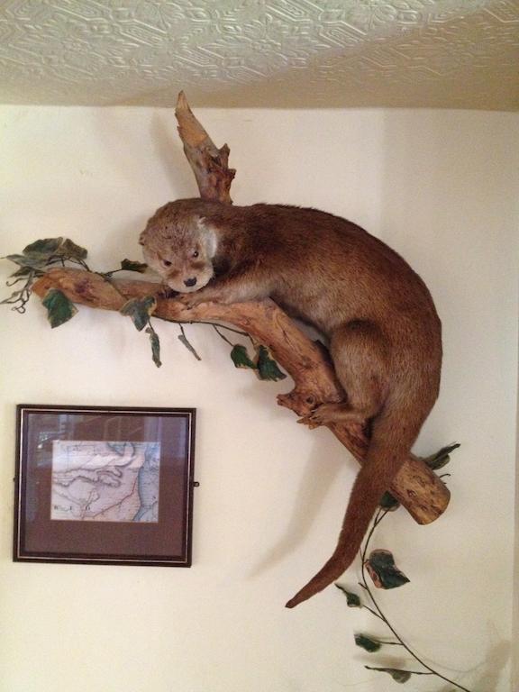 Bed and Breakfast The Lazy Otter Stretham Екстер'єр фото